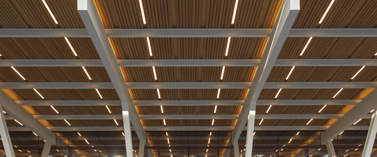 Lighting Design for Visual Impact